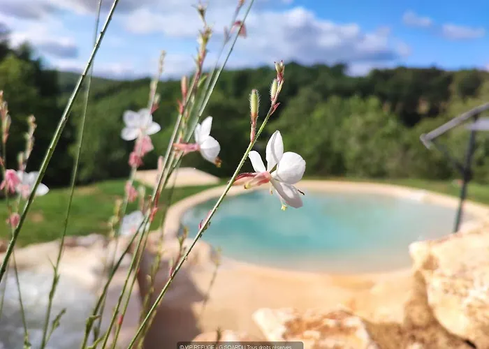 Semesterbostad Vip Refuge