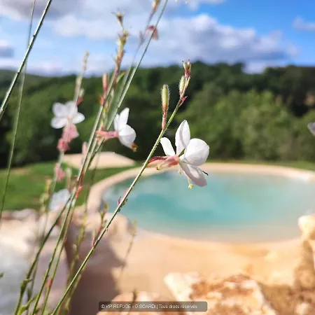 Vakantiehuis Vip Refuge